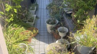 『終活・生前整理（庭/車庫の片付け）』福岡県福岡市🐸片付けカンパニー・マルジュン／女性スタッフ／片付け・処分・買取り・ハウスクリーニング